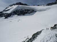 CH, Wallis, Saas Fee, Felskinn 3, Saxifraga-Willem van Kruijsbergen